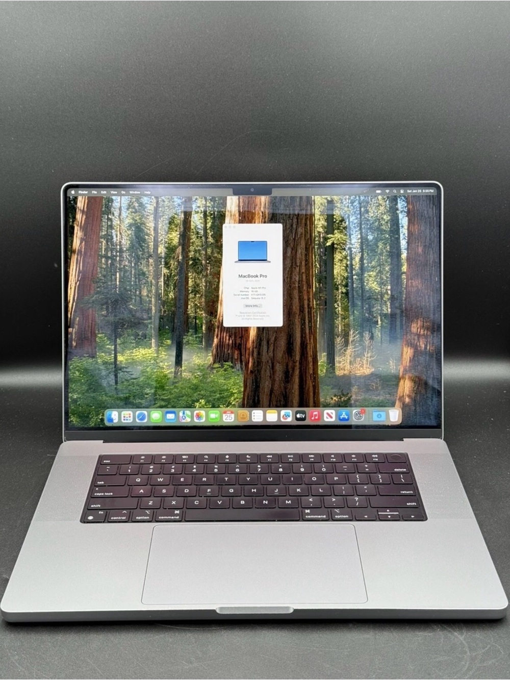 Apple MacBook Pro - Space Gray Aluminum Finish M1 Pro